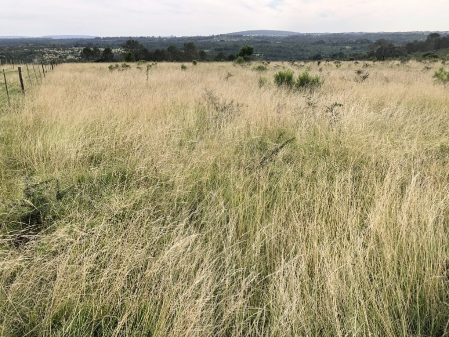 Commercial Property for Sale in Bathurst Rural Eastern Cape